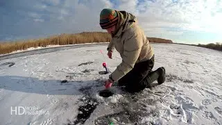 ПОЛТОРА КИЛОГРАММА РЫБЫ с одной ЛУНКИ! ПЕРВЫЙ ЛЁД 2021-2022.