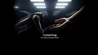 Xiaomi Cyberdog - Meet the Cyberdog
