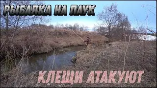 Рыбалка на Паук (Подъёмник)! Весенняя рыбалка! Первый выход! Очень много клещей!