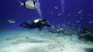 Diving Comino Is., Malta - Дайвинг на о. Комино (Мальта)