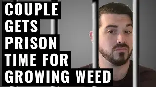 Couple Grows Enough Weed to Roll 150K Joints | Cannabis in the News Ep: 3