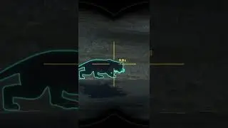 Is that a BLACK PANTHER?!? 😳😳😳 - Call of the Wild #shorts