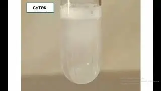 Металдардың қышқылдармен реакциясы