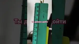 Мы работаем в приморье. вахта. #хабаровскийкрай #хабаровск #природа #лето