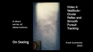 Vestibulo-Ocular Reflex and Smooth Pursuit Tracking