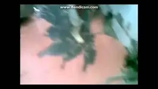 ЕШЬТЕ НАШУ КОЛБАСУ!!! (читайте описание)