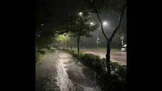 Dom Corleo - Rainy Day (slowed reverb)