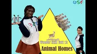Starter 1 - Wonder Skills Unit 11