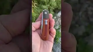 Enrique Pena APACHE Front Flipper