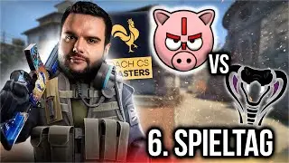 Das GEGNERTEAM ist UNGESCHLAGEN! 🐷 SCHWEINEAIM vs. STRYNX 🐷 DACHCS MASTERS - Saison 2 - Spieltag 6