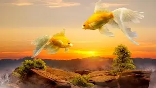 Armonía - Speed art (#Photoshop)
