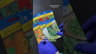 ЧТО ПОСЕЯТЬ В МАРТЕ? 🌿🌷