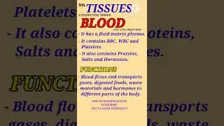 9th TISSUE  BLOOD - CONNECTIVE TISSUE