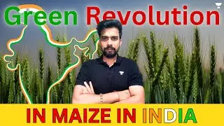 CLAT 2025 | CR | Green Revolution in Maize In India | Passage-Based Questions