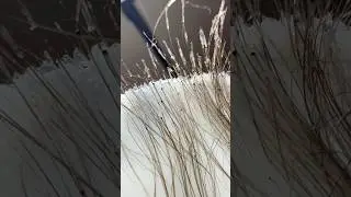 This is what pulling out from the root looks like #hair #hairremoval #waxing #hairgrowth
