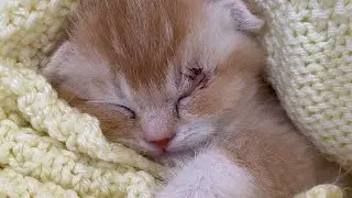 История одной операции 🥺 часть 2