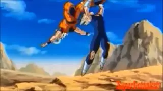 Goku Let Go