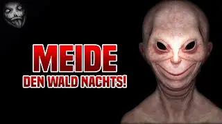 Meide nachts die Wälder und hüte Dich vor den gelben Augen!