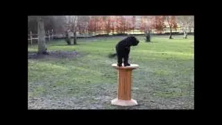 Video mix