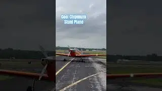 The Daredevil Chipmunk Airplane