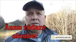 Är det bra med hopium