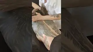 Massage Deep Tissue Advanced #massagetherapy #massage #deeptissue