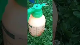 Средство от многих вредителей 