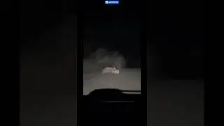 Рысь vs зайца