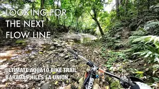Looking For The Next Flow Line