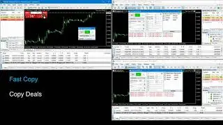 Fast Copy MT4 MT5 Work Example / Trade Copier