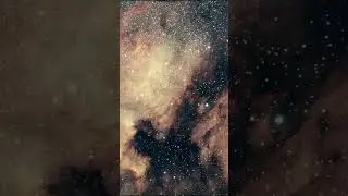 The North American nebula 