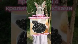 А вы пробовали?😋 #влог #реки #обзор #смешныевидео