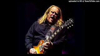 Gov't Mule - Rock & Roll Stew (Live 2016, Palace Theatre, Albany, October 29)
