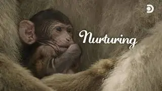 Compose for the Earth | Discovery Earth Day 2021