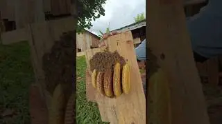 How to do
