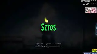 new top play 306 pp