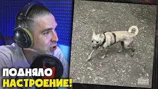 OG BUDA — САБАКА (A.D.H.D) | Реакция и разбор от RapNews