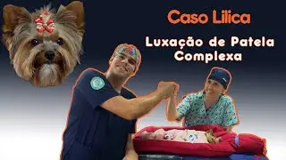 Caso Lilica - Luxação de Patela Complexa