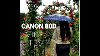 canon 80d video test canon 80d cinematic