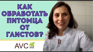 How to deworm your dog? Veterinarian's advice!