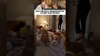 ЭТО ЛУЧШИЙ ПРИКОЛ №100 🤣 😹