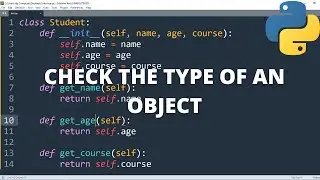 How to check the type of an object in python