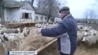 Родное село Порошенко