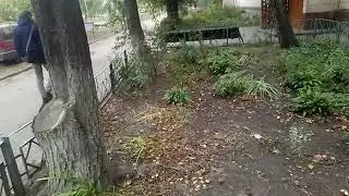 Евродвор Нахимова 34-36-38 почему начали с конца ?