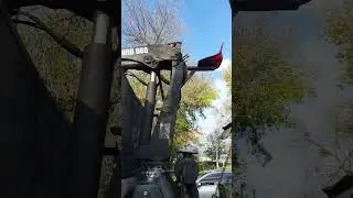 Прелести своего мульта ) 