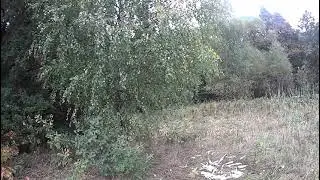 Быстро добыт трофей. Охота на утку с подхода ТОЗ-34