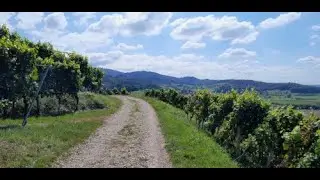 Freiburg-Denzlingen: Schwarzenberg-Tour