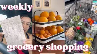 ALDI AND SAMS CLUB WEEKLY GROCERY SHOPPING