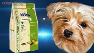 Корм для собак Bosch | Ингредиенты | Отзывы.