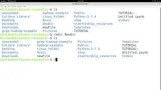 Linux Tutorial Series - 40 - The rmdir command